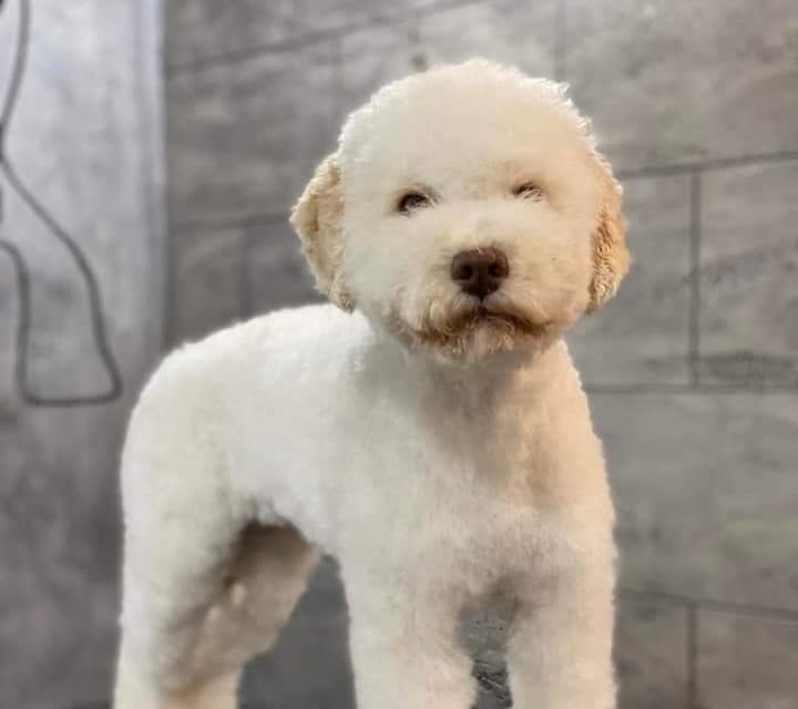 Lara from Truffles Macedonia portrait